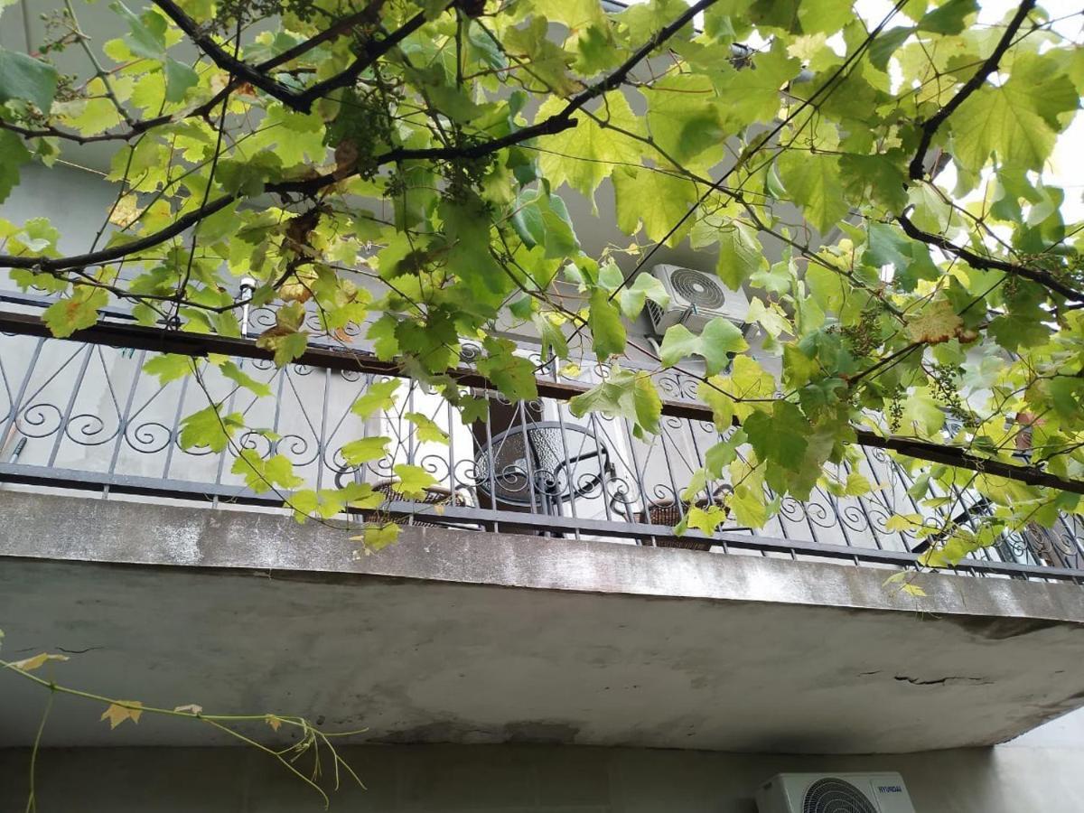 Merabi And Neli Guest House Makhinjauri Exterior photo