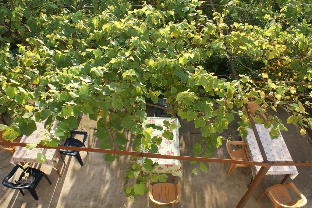 Merabi And Neli Guest House Makhinjauri Room photo