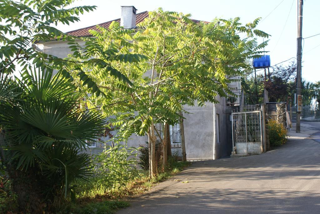 Merabi And Neli Guest House Makhinjauri Exterior photo